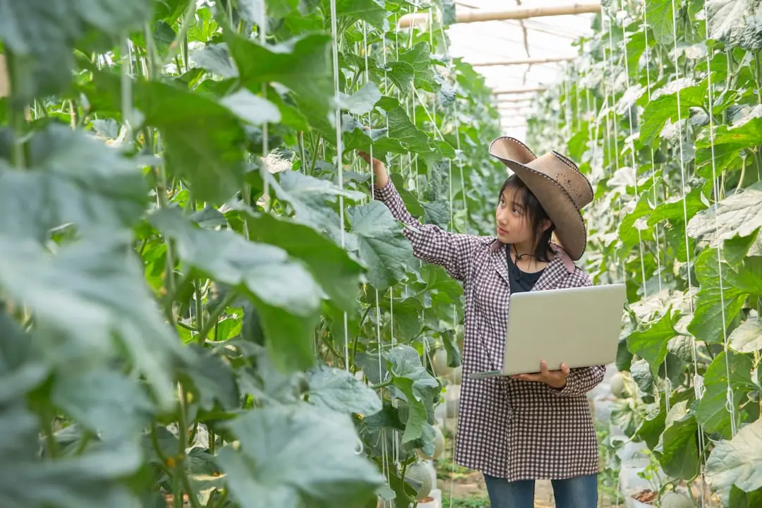 2025年影视制作新规解读:企业宣传片合规要点与实操指南